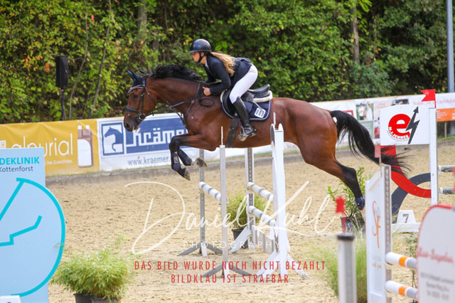 DKP40558 | Turniersportfotografie; Pferdefotografie; Dressurfotografie