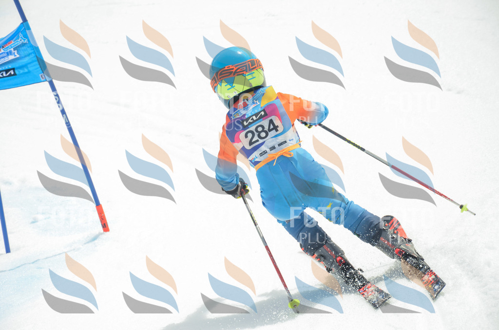 _ELE7996 | holidayphoto