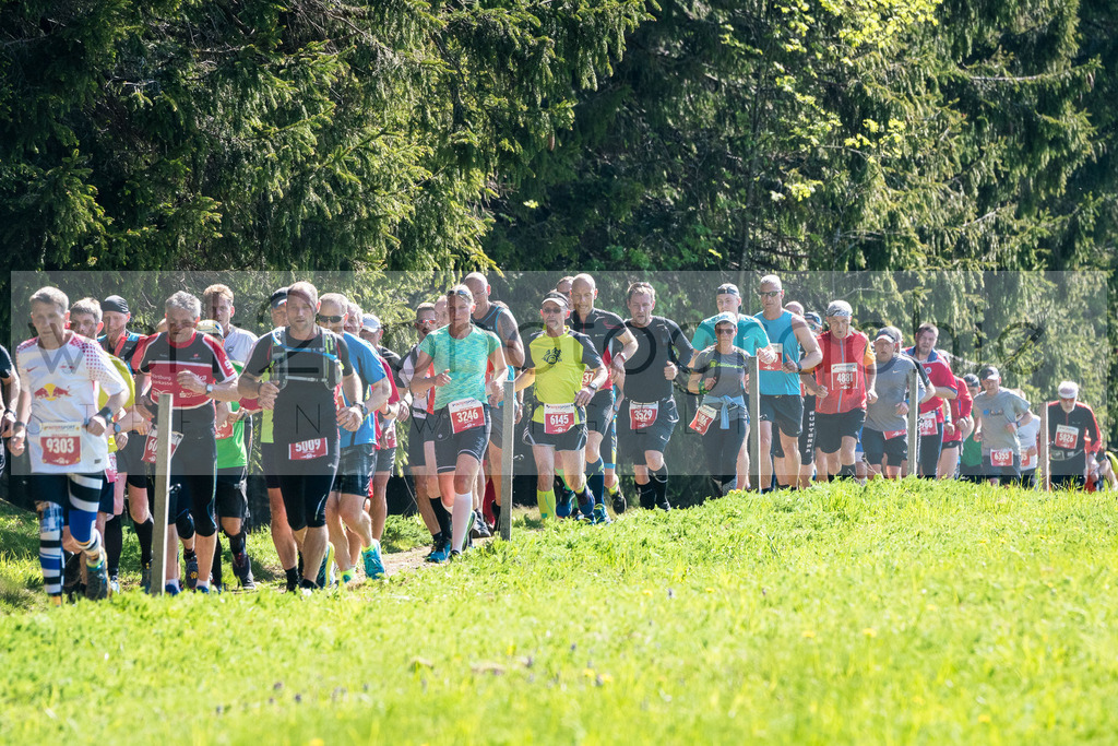 Rennsteiglauf 2019 | Marathon Neuhaus/Rwg. - Schmiedefeld am 18. Mai 2019