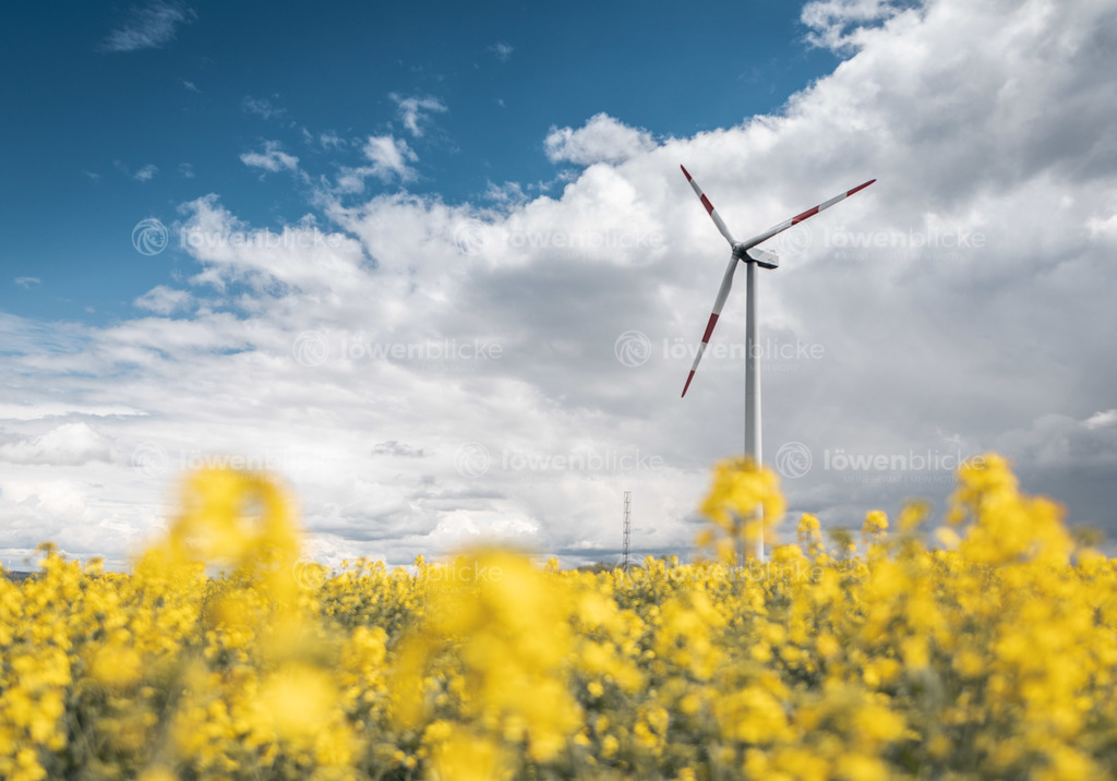 Windrad bei Stötten im Frühling | löwenblicke | shop