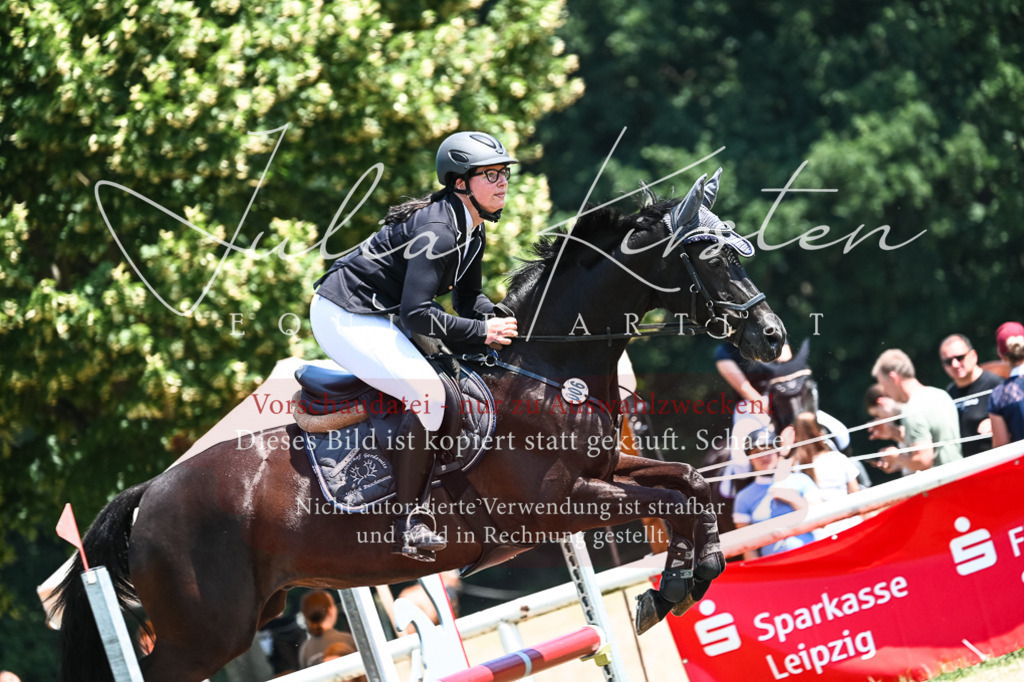 DSC_0204 | Pferde- und Turnierfotografie in Westsachsen. Pferdeportraits, Auftragszeichnungen und intuitive Kunst.