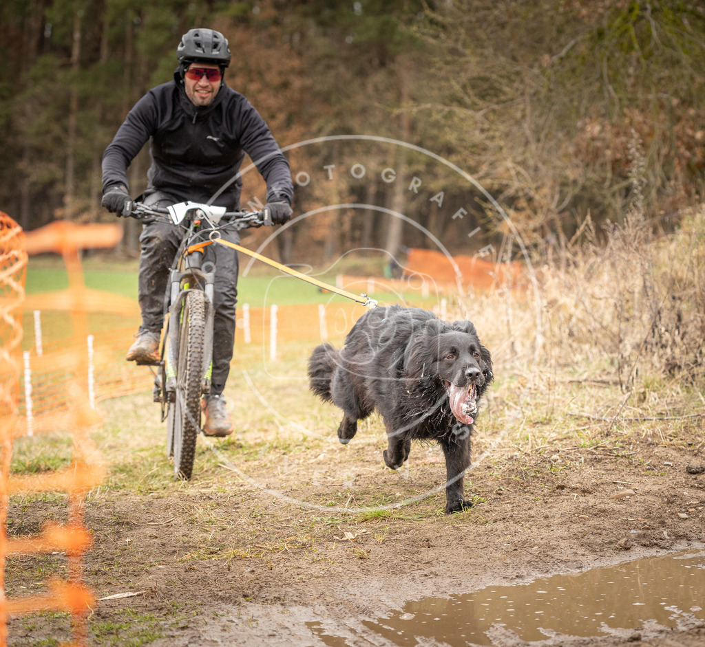 DV3A1090 | Hundefotografie, Tierfotograf, Pfotenfotografie, Fotoshooting Hund, Hunde Portrait, Hundesport, Hundeportraits, Heideshooting, Hunde, Sportfotograf, Hundefotograf, Turnierhundsport, THS,  - Realisiert mit Pictrs.com