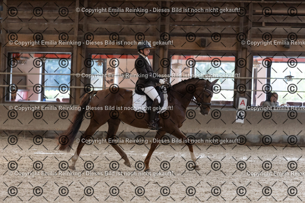 CL5A0647 | Emilia Reinking Fotografie - Realisiert mit Pictrs.com