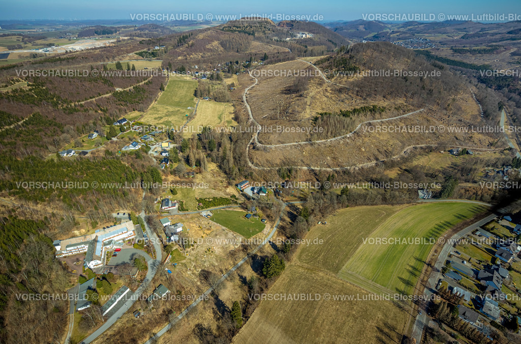 HB-Brilon220303383 | Luftbild, Kursanatorium Hochsauerland Haus der Kriegsblinden am Waldgebiet mit Waldschäden, Gudenhagen, Brilon, Sauerland, Nordrhein-Westfalen, Deutschland