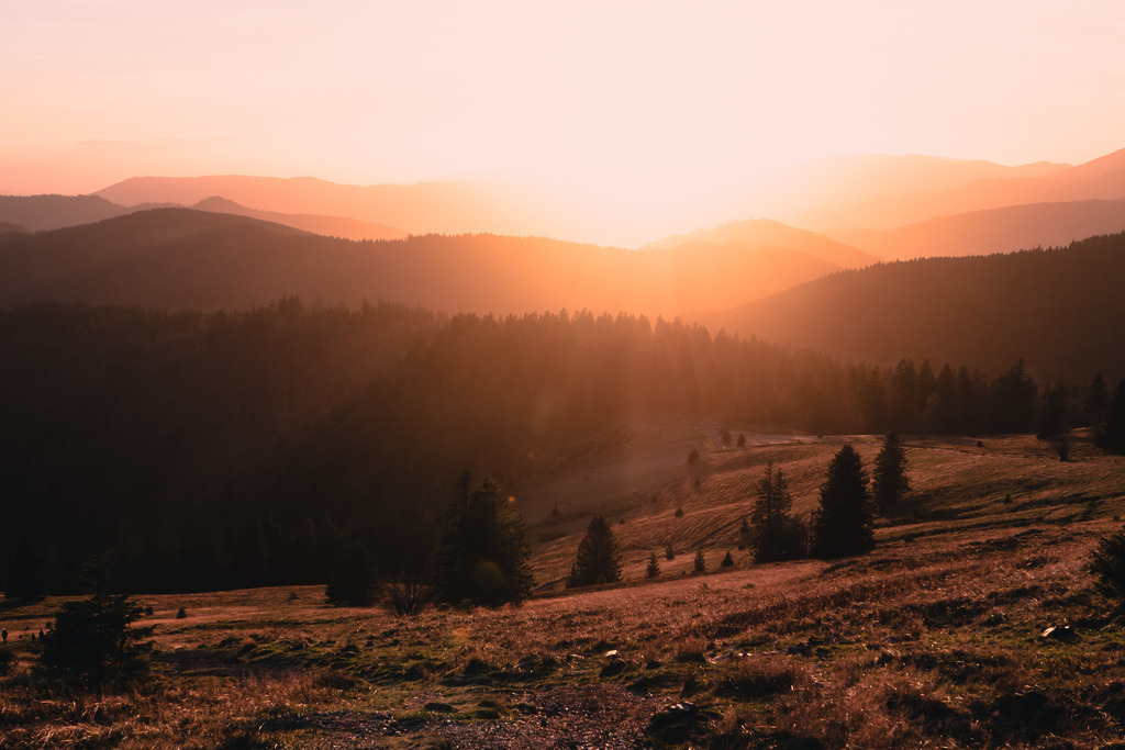 Herbstlicher Hochschwarzwald | Spätherbst im Hochschwarzwald mit Blick vom Herzogenhorn über den Südschwarzwald - Realisiert mit Pictrs.com
