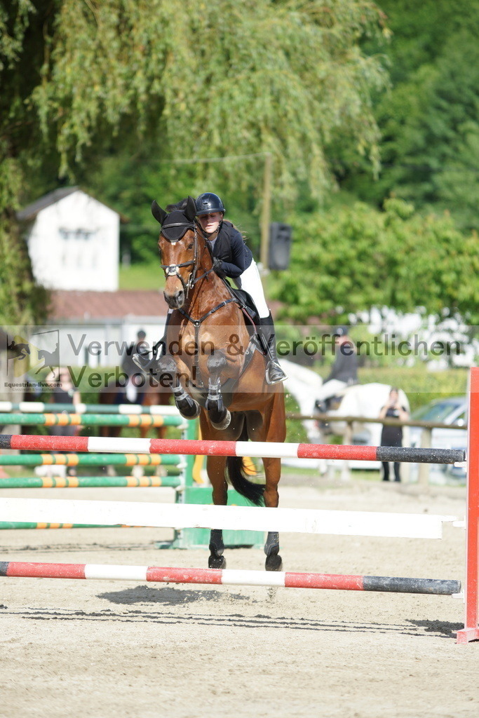 DSC08451 | equestrian-live-com