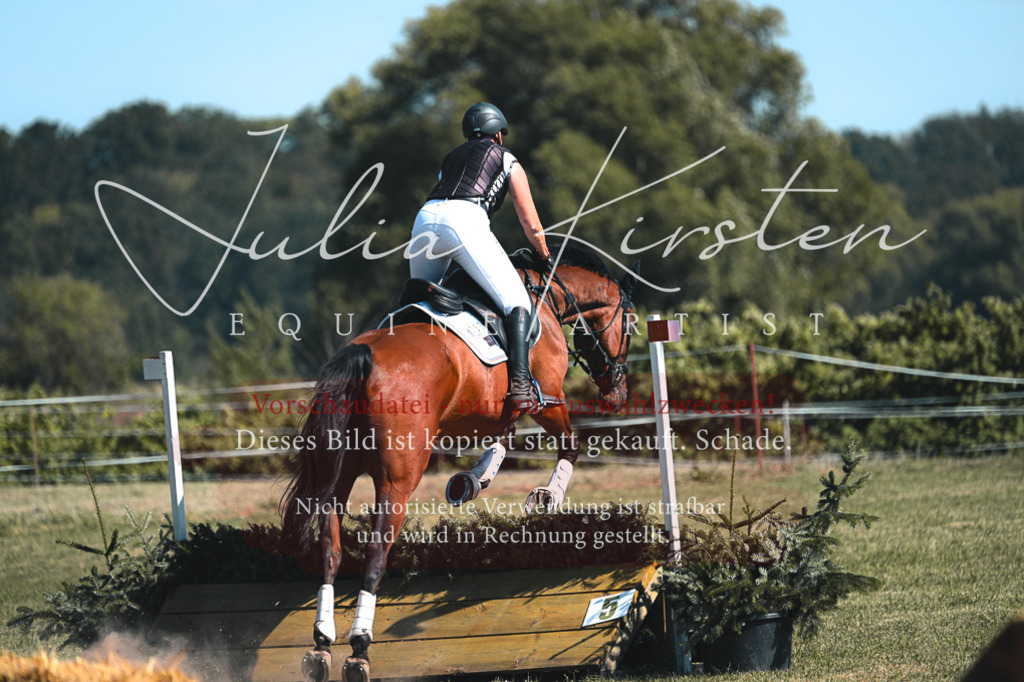 DSC_8246 | Pferde- und Turnierfotografie in Westsachsen. Pferdeportraits, Auftragszeichnungen und intuitive Kunst.
