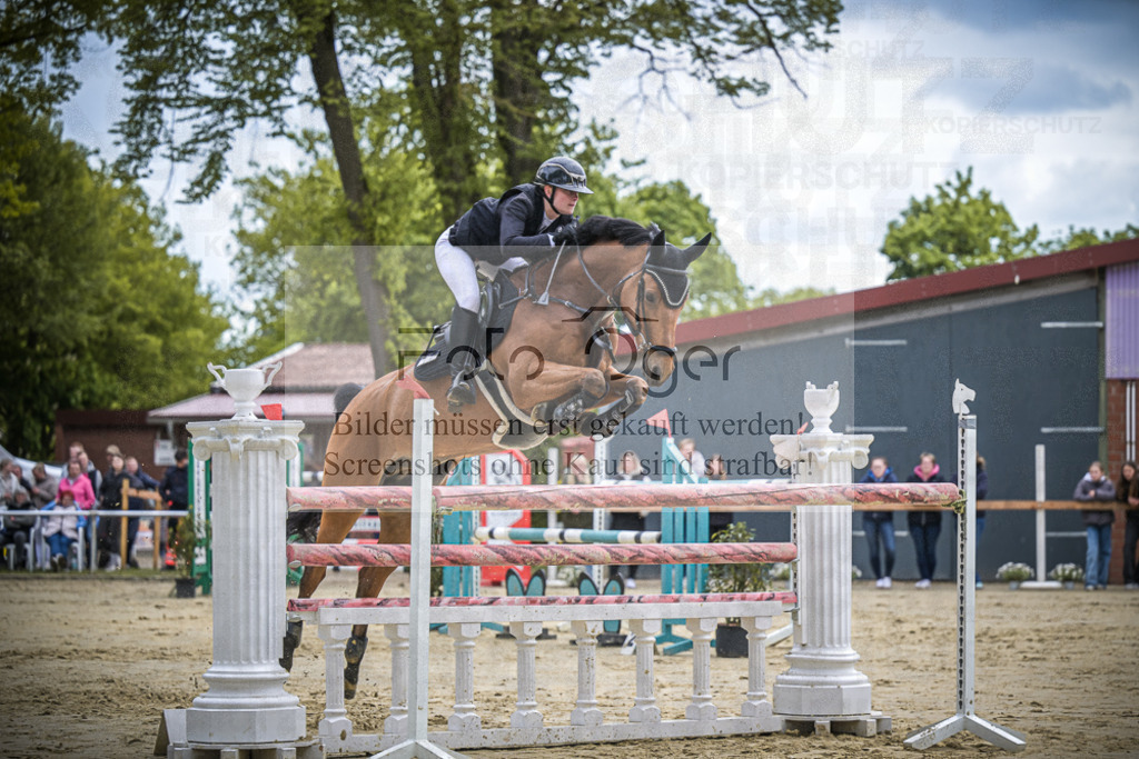 DOS_1303 | Entdecke hochwertige Reitturnierfotos von Foto Oger. Professionell, emotional und authentisch – jetzt Lieblingsmomente im Shop bestellen.Deutschlandweite Turnierfotografie. - Realisiert mit Pictrs.com