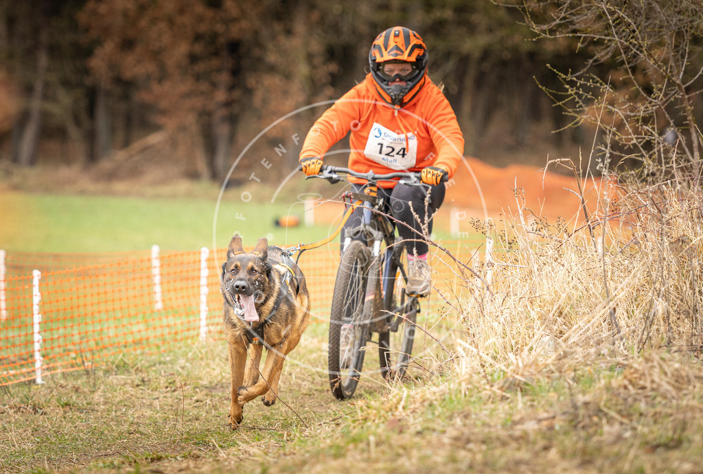 DV3A1145 | Hundefotografie, Tierfotograf, Pfotenfotografie, Fotoshooting Hund, Hunde Portrait, Hundesport, Hundeportraits, Heideshooting, Hunde, Sportfotograf, Hundefotograf, Turnierhundsport, THS,  - Realisiert mit Pictrs.com