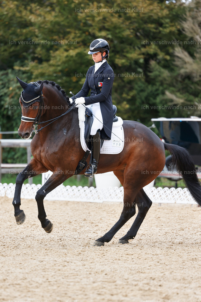 12-110-DRESSUR  S___  -StoibPH-5297 | working equitationturnier fotograf videograf stoibphotography marixx film working equitation deutschland reitsport turnierfotografie eventfotografie equestrian events