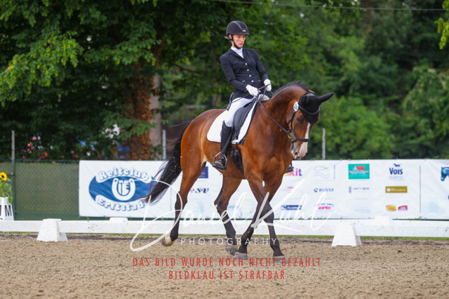 DKP41719 | Turniersportfotografie; Pferdefotografie; Dressurfotografie