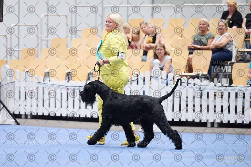 202406_ÖKV-IHA-Tulln24_DSC_2905 | proPHOTO - Realisiert mit Pictrs.com