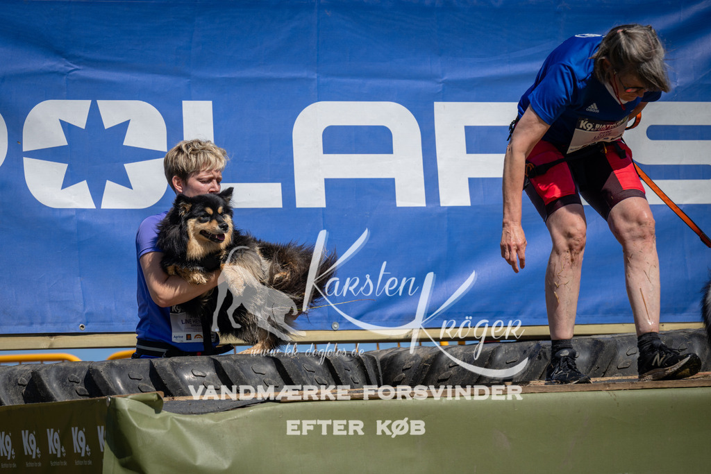 1301_ZZ97805 | kk-dogfotos
