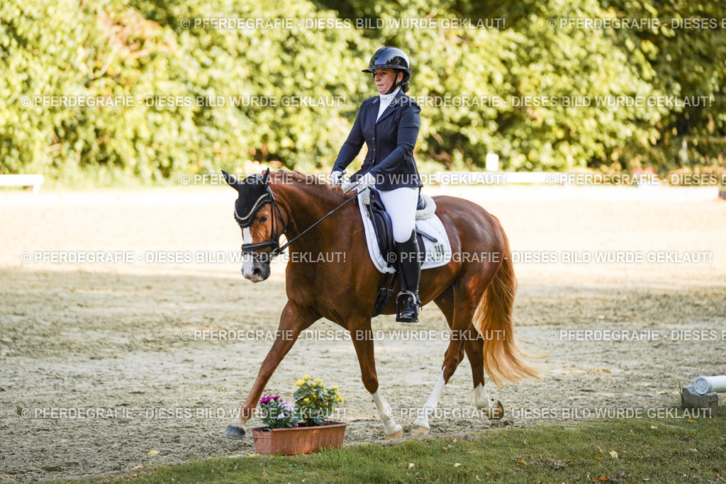 DSC06333 | Pferdegrafie