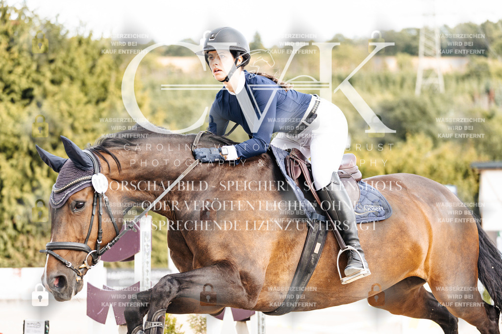 CK902535 | Turnierfotografie Pferdefotografie Trier Rheinland-Pfalz Pferdesport Reitsport Tierfotografie Sportfotografie Pferdevideo Pferdevideografie Equestrianvideography equestrianphotography  - Realisiert mit Pictrs.com