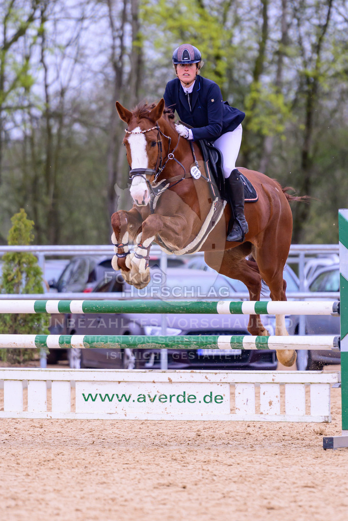12042026-Mammendorf-Prfg42-0380 | Fokus Hufschlag Fotografie - Realisiert mit Pictrs.com