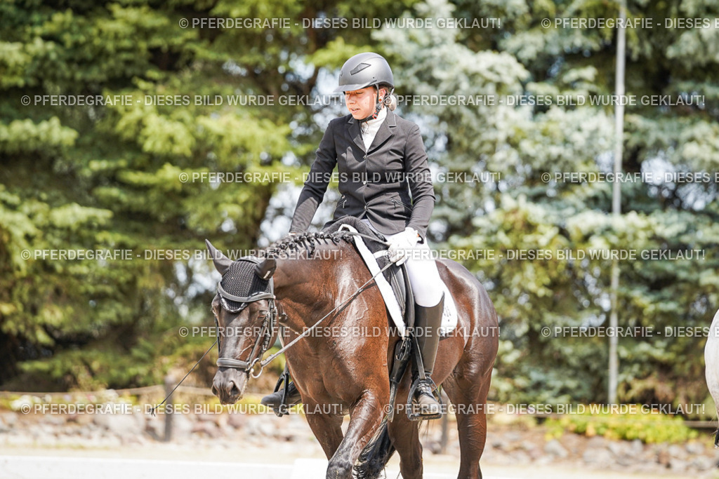 DSC03584 | Pferdegrafie