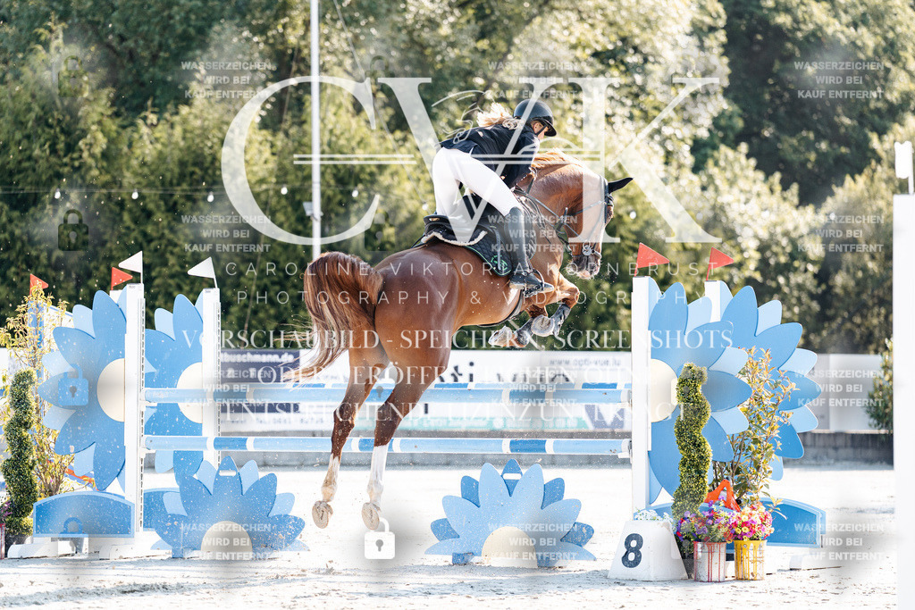 CK901551 | Turnierfotografie Pferdefotografie Trier Rheinland-Pfalz Pferdesport Reitsport Tierfotografie Sportfotografie Pferdevideo Pferdevideografie Equestrianvideography equestrianphotography  - Realisiert mit Pictrs.com