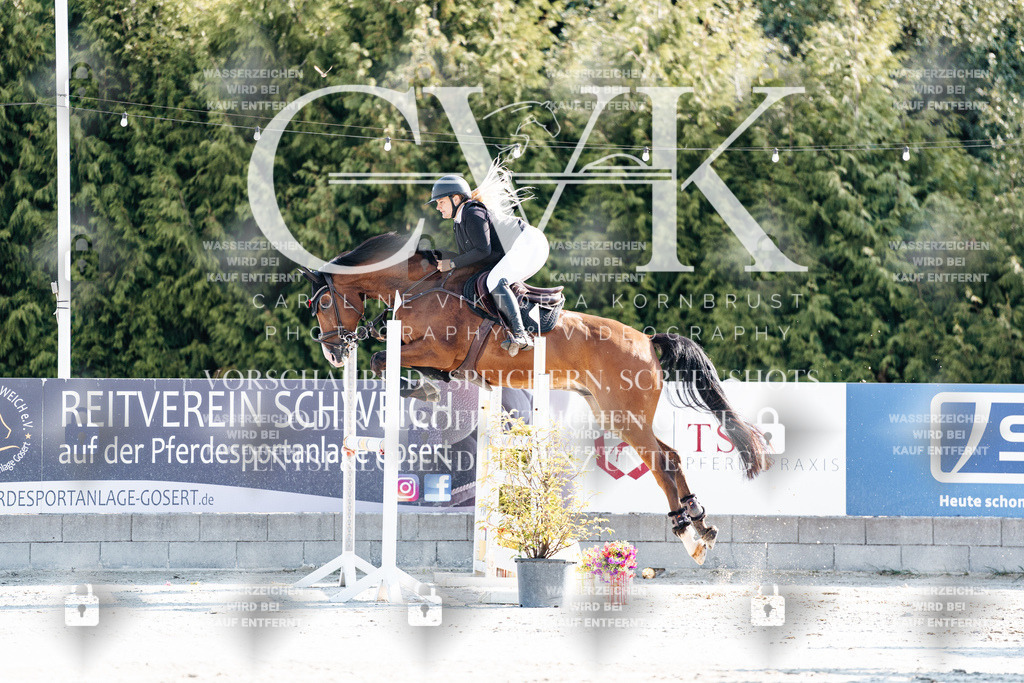 CK901604 | Turnierfotografie Pferdefotografie Trier Rheinland-Pfalz Pferdesport Reitsport Tierfotografie Sportfotografie Pferdevideo Pferdevideografie Equestrianvideography equestrianphotography  - Realisiert mit Pictrs.com