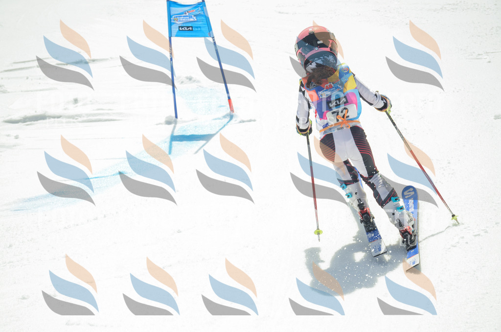 _ELE5451 | holidayphoto