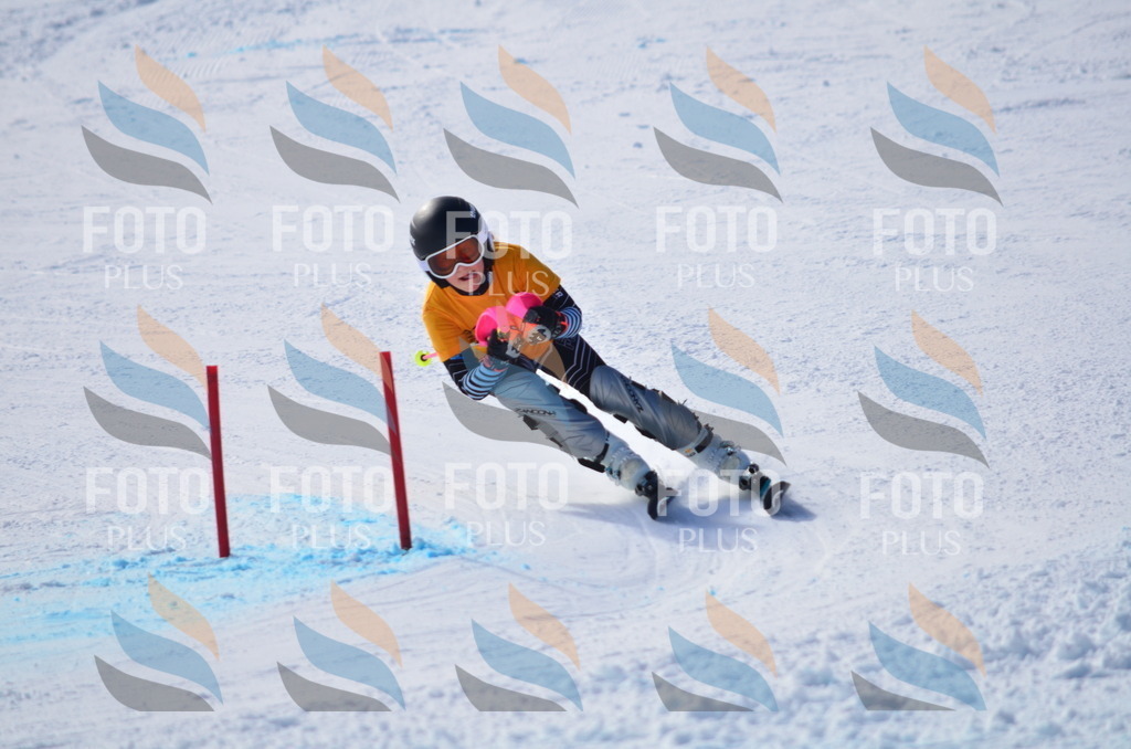 C9532 | holidayphoto