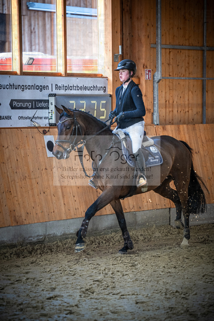 DOS_0627 | Entdecke hochwertige Reitturnierfotos von Foto Oger. Professionell, emotional und authentisch – jetzt Lieblingsmomente im Shop bestellen.Deutschlandweite Turnierfotografie. - Realisiert mit Pictrs.com