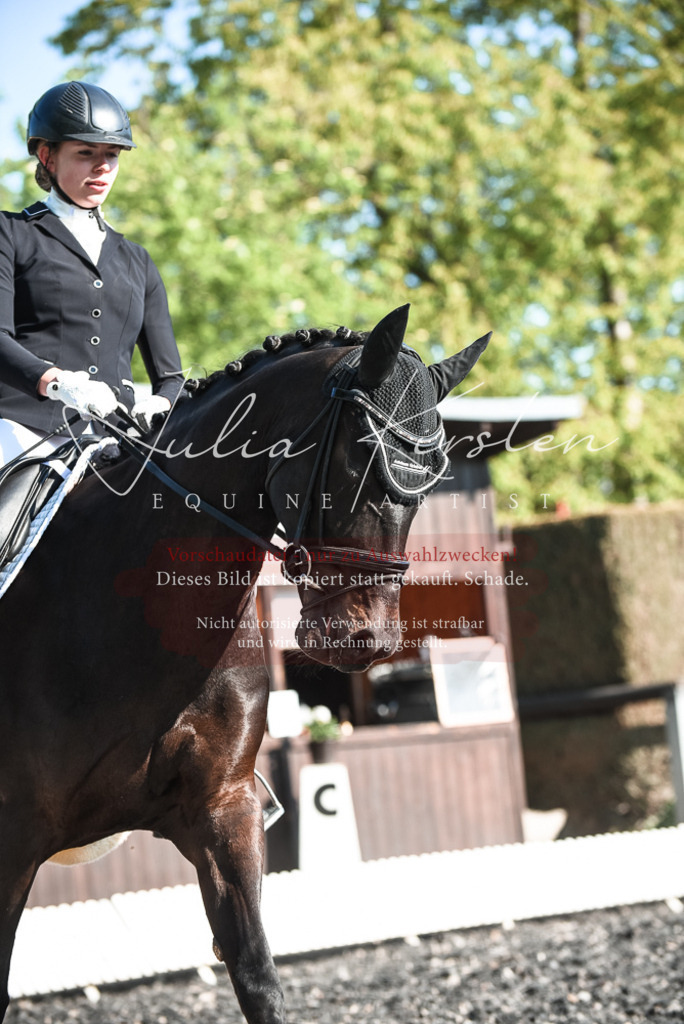 DSC_8395 | Pferde- und Turnierfotografie in Westsachsen. Pferdeportraits, Auftragszeichnungen und intuitive Kunst.