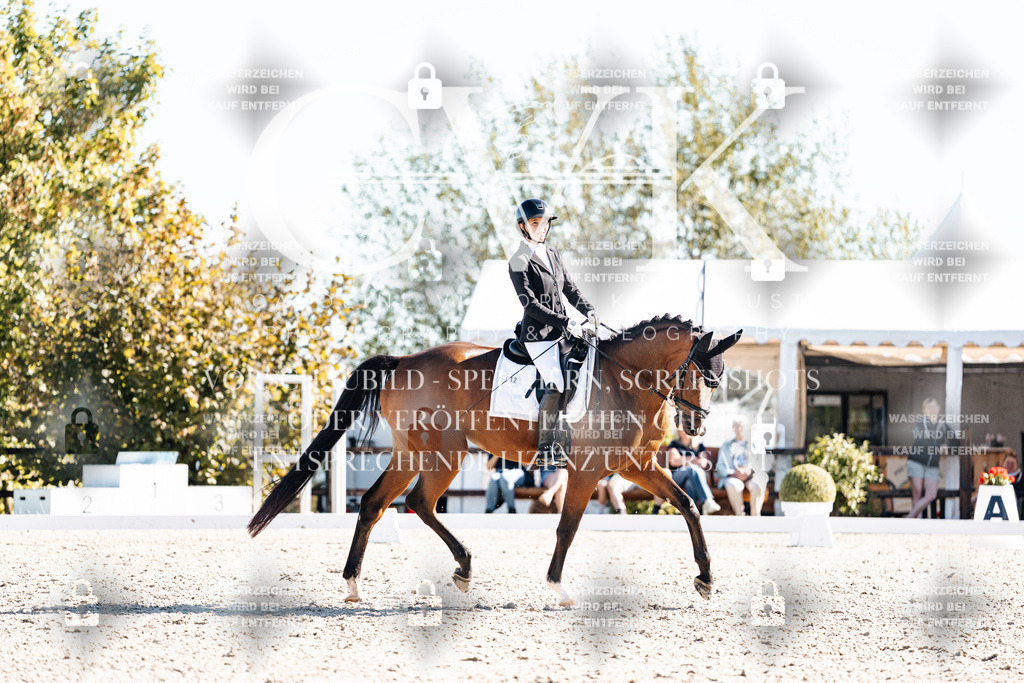 CK908606 | Turnierfotografie Pferdefotografie Trier Rheinland-Pfalz Pferdesport Reitsport Tierfotografie Sportfotografie Pferdevideo Pferdevideografie Equestrianvideography equestrianphotography  - Realisiert mit Pictrs.com