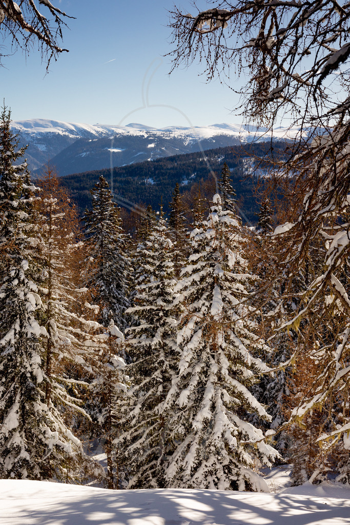 Winterzauber Aineck | Bei Veröffentlichung des Bildes ist eine Namensnennung wie folgt erforderlich: 
Foto: Mostdirn Irmgard Wieser
 - Realisiert mit Pictrs.com