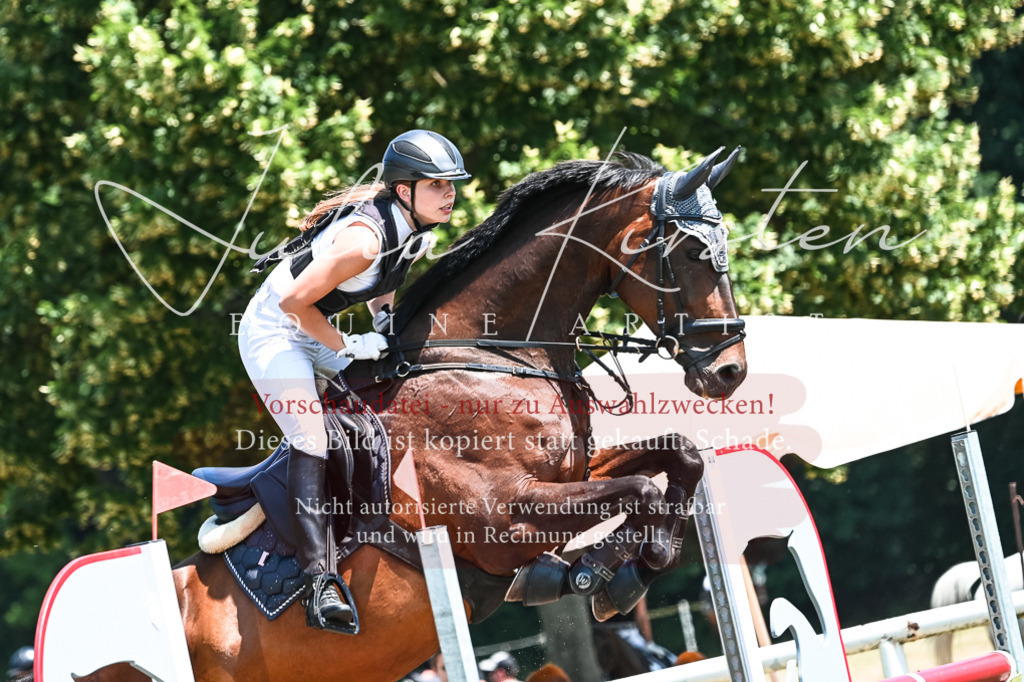 DSC_0230 | Pferde- und Turnierfotografie in Westsachsen. Pferdeportraits, Auftragszeichnungen und intuitive Kunst.