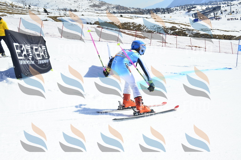 _ELE0288 | holidayphoto