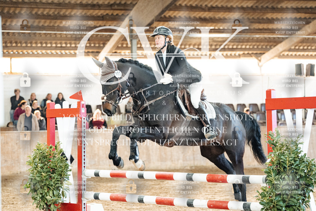 CK904176 | Turnierfotografie Pferdefotografie Trier Rheinland-Pfalz Pferdesport Reitsport Tierfotografie Sportfotografie Pferdevideo Pferdevideografie Equestrianvideography equestrianphotography  - Realisiert mit Pictrs.com