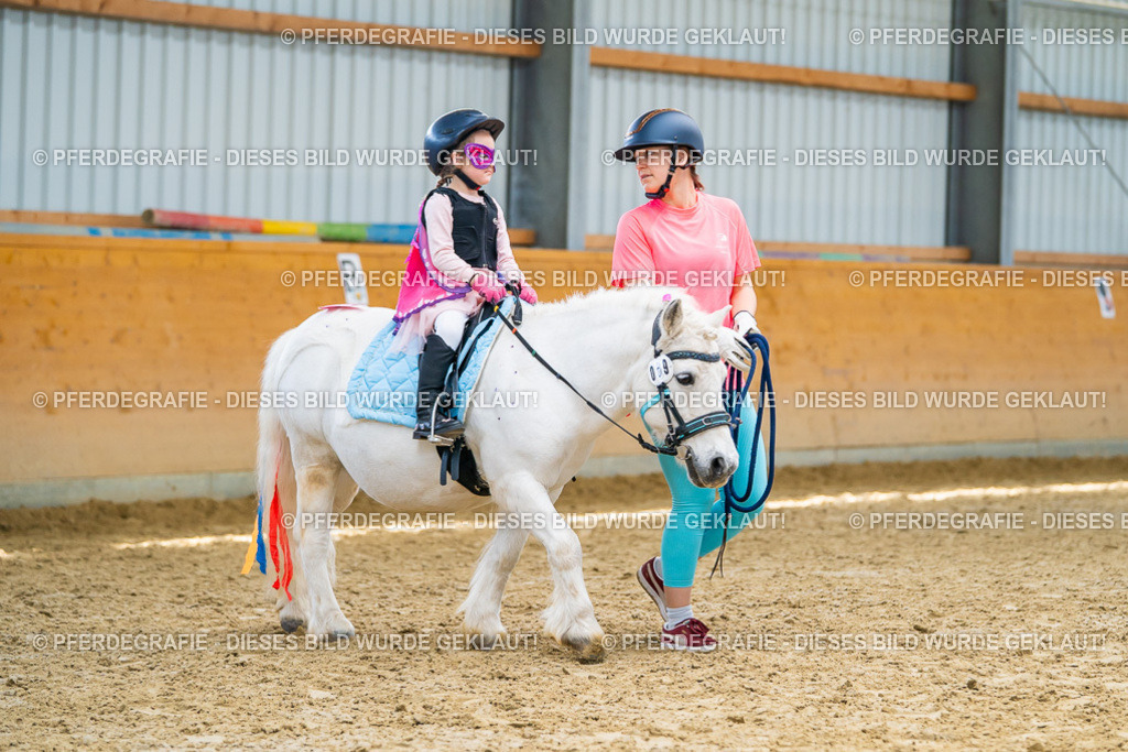 DSC00047 | Pferdegrafie