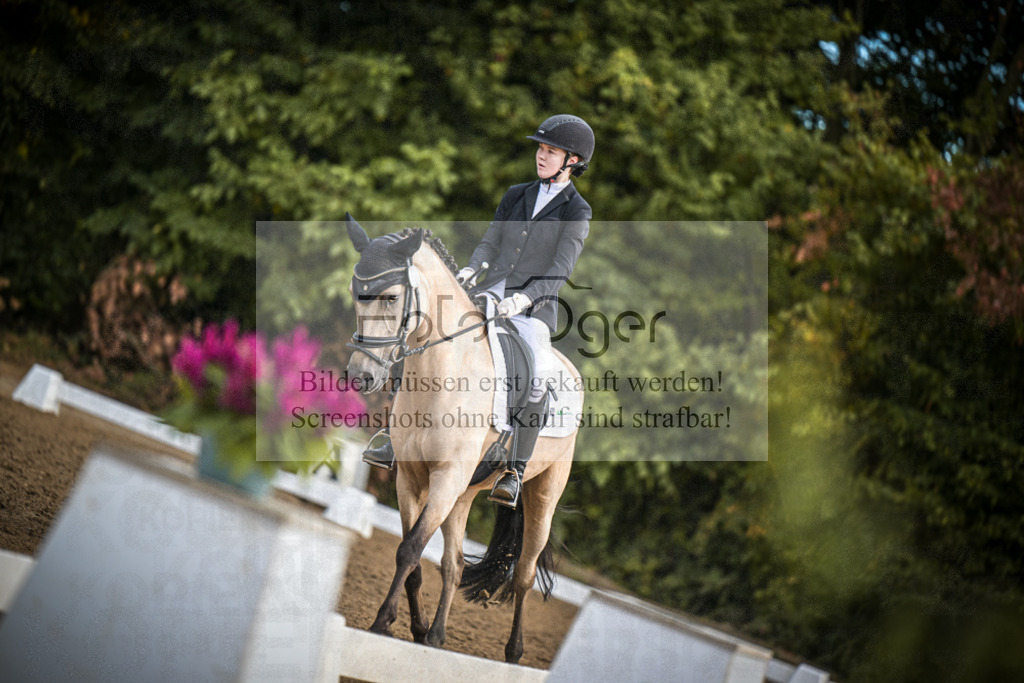 DOS_2456 | Entdecke hochwertige Reitturnierfotos von Foto Oger. Professionell, emotional und authentisch – jetzt Lieblingsmomente im Shop bestellen.Deutschlandweite Turnierfotografie. - Realisiert mit Pictrs.com