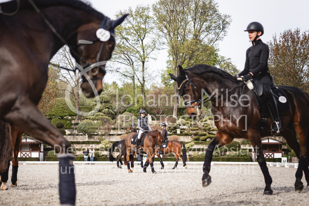 260410_Kronberg_Training-104 | Deine schönsten Turniermomente als professionelle Fotos! Entdecke hochwertige Pferdesport-Fotografie im Online-Shop. Jetzt Fotos finden & bestellen!