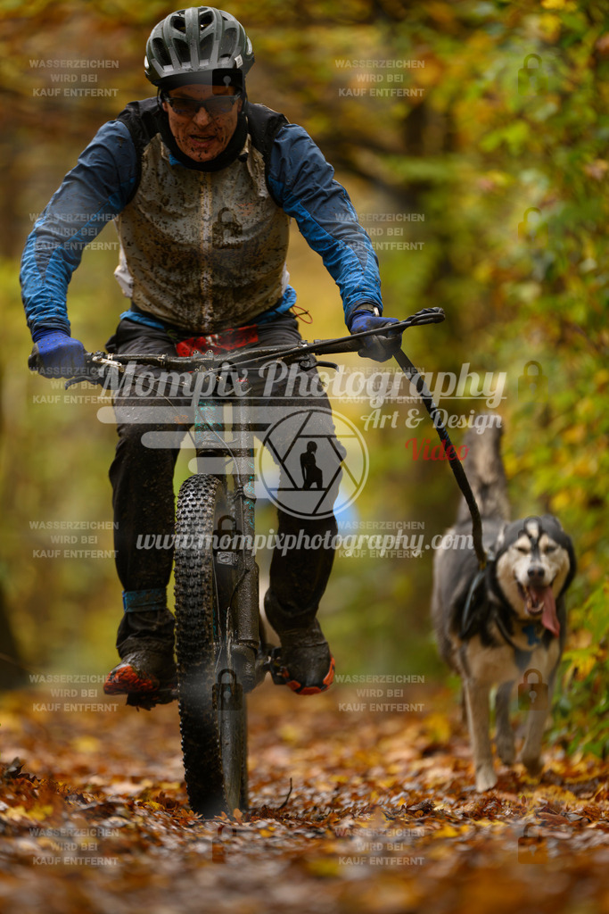 MompixPhotography_CD7S_DI_Bike-65 | mompixphotography