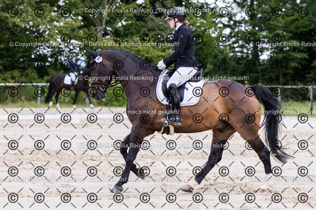 CL5A1986 | Emilia Reinking Fotografie - Realisiert mit Pictrs.com