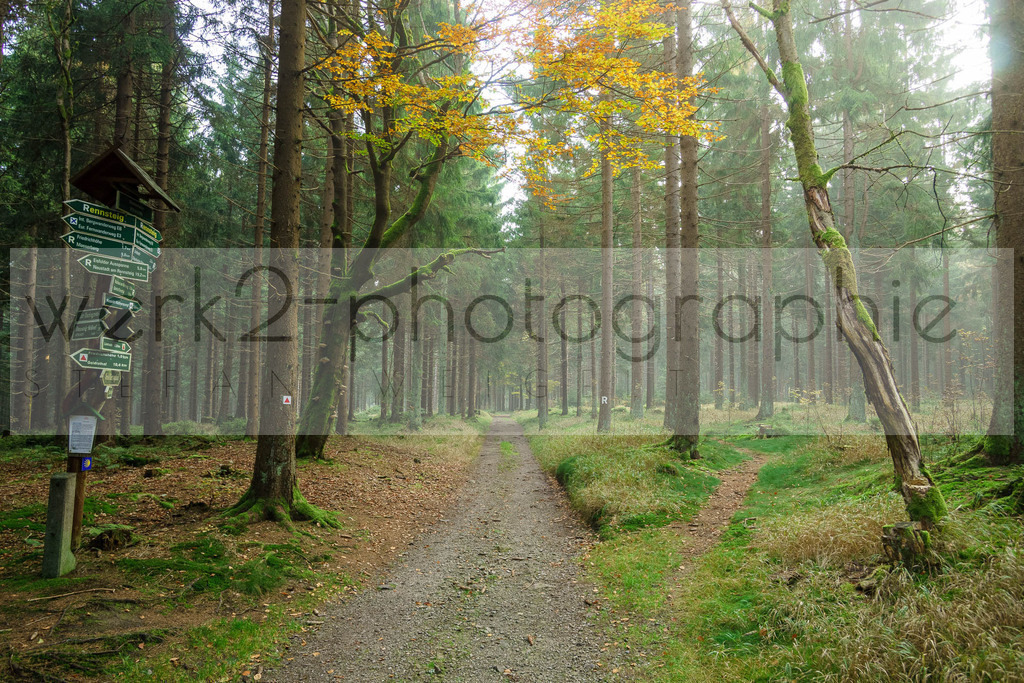 Herbstlauf 2017 | Neuhaus/Rwg. - Masserberg am 1. Oktober 2017