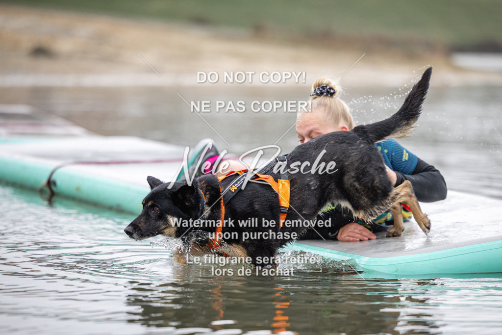 nelerasche_Hulsbeek_Sa1100-1130_523 | nelerasche