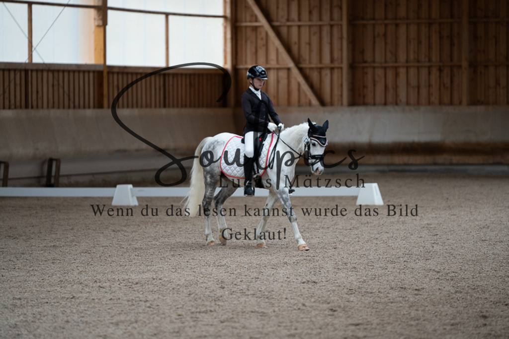 A7V02461 | Pferdefotograf