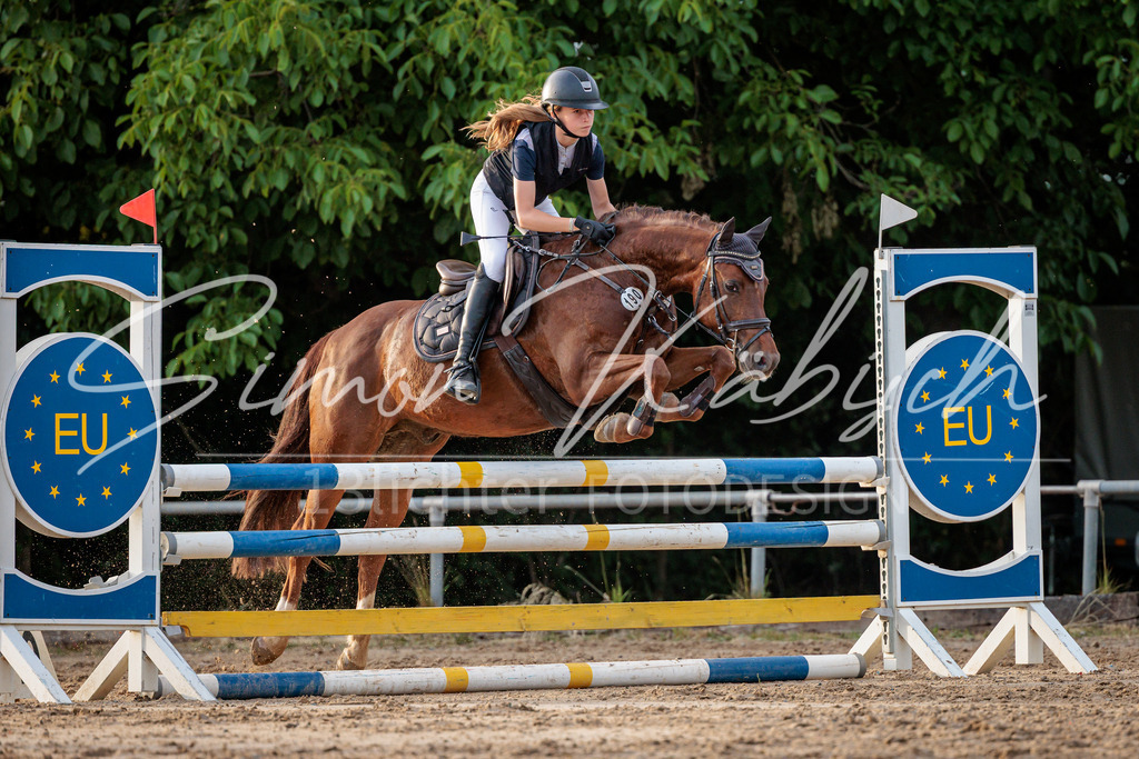 20260529-_3LI1941 | Tierfotografie Pferde, Hunde, Katzen, Haustiere.
Turnierfotografie Reitturniere, Reiten, Springreiten, Dressur in Hanau, dem Main-Kinzig-Kreis und dem Rhein-Main- Gebiet um Frankfurt