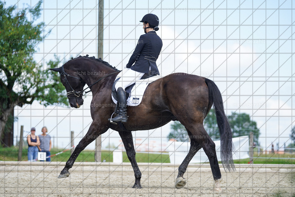 20230826-FAH05447 | Forstinning, 2023, Dressurturnier, Turniersportbilder, Turnierfotografen Bayern, Fotoagentur Herrmann, Reitsportfotografie, Turnierbilder