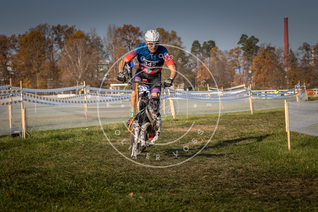 CaniXpix_0L8A7754 | Hundefotografie, Tierfotograf, Pfotenfotografie, Fotoshooting Hund, Hunde Portrait, Hundesport, Hundeportraits, Heideshooting, Hunde, Sportfotograf, Hundefotograf, Turnierhundsport, THS,  - Realisiert mit Pictrs.com
