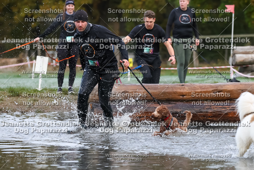 Dog Paparazzi - Strongdog 10-25-6205 | Dog Paparazzi Jeanette Grottendiek Fotografie & Videografie - Realisiert mit Pictrs.com