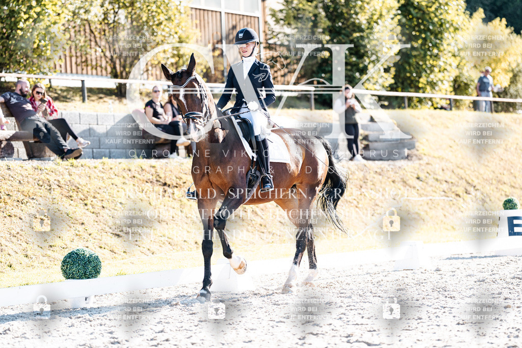 CK906527 | Turnierfotografie Pferdefotografie Trier Rheinland-Pfalz Pferdesport Reitsport Tierfotografie Sportfotografie Pferdevideo Pferdevideografie Equestrianvideography equestrianphotography  - Realisiert mit Pictrs.com