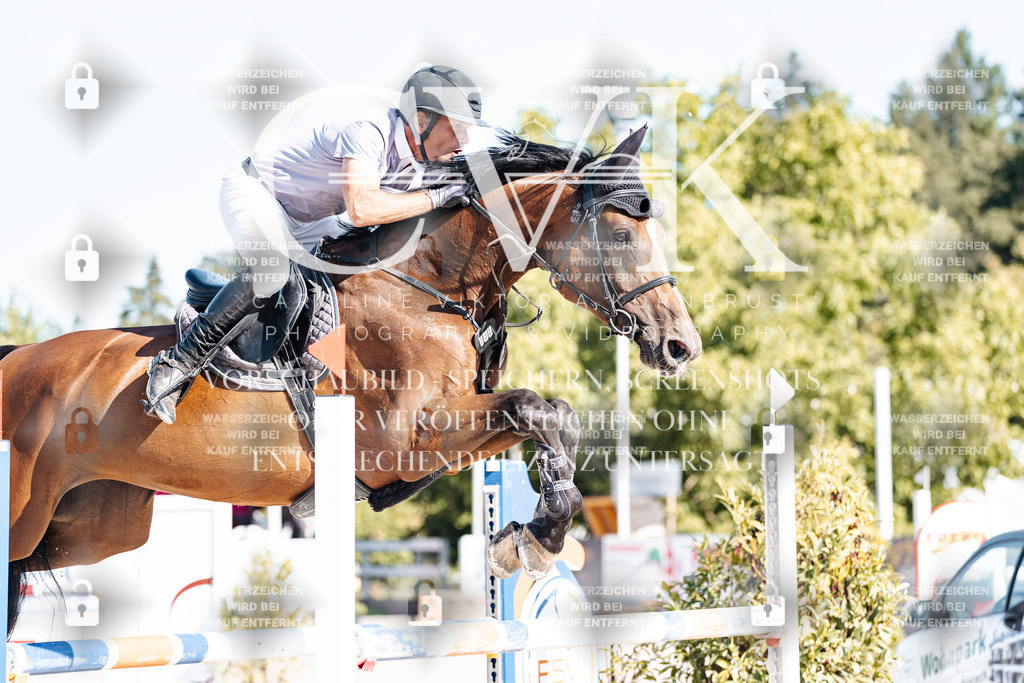 CK904895 | Turnierfotografie Pferdefotografie Trier Rheinland-Pfalz Pferdesport Reitsport Tierfotografie Sportfotografie Pferdevideo Pferdevideografie Equestrianvideography equestrianphotography  - Realisiert mit Pictrs.com