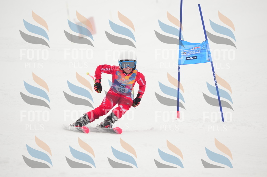 C1764 | holidayphoto