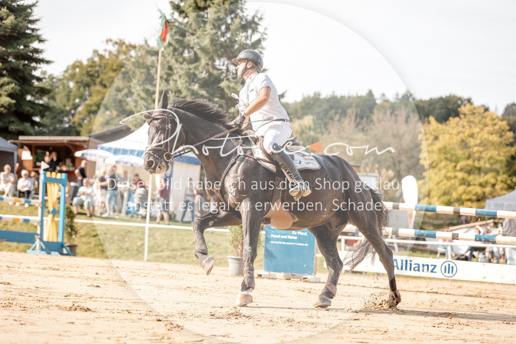 3I6A4742 | Stimmungsvolle Portraits und Reitsportfotografie im Ruhrgebiet und im Münsterland.

Pferdefotografie, Hundefotografie, Tierfotografie, Reportagen, Portraits von Tier und Mensch, Turnierfotografie in Bochum, Recklinghausen, Marl, Haltern am See, Dülmen.. - Realisiert mit Pictrs.com