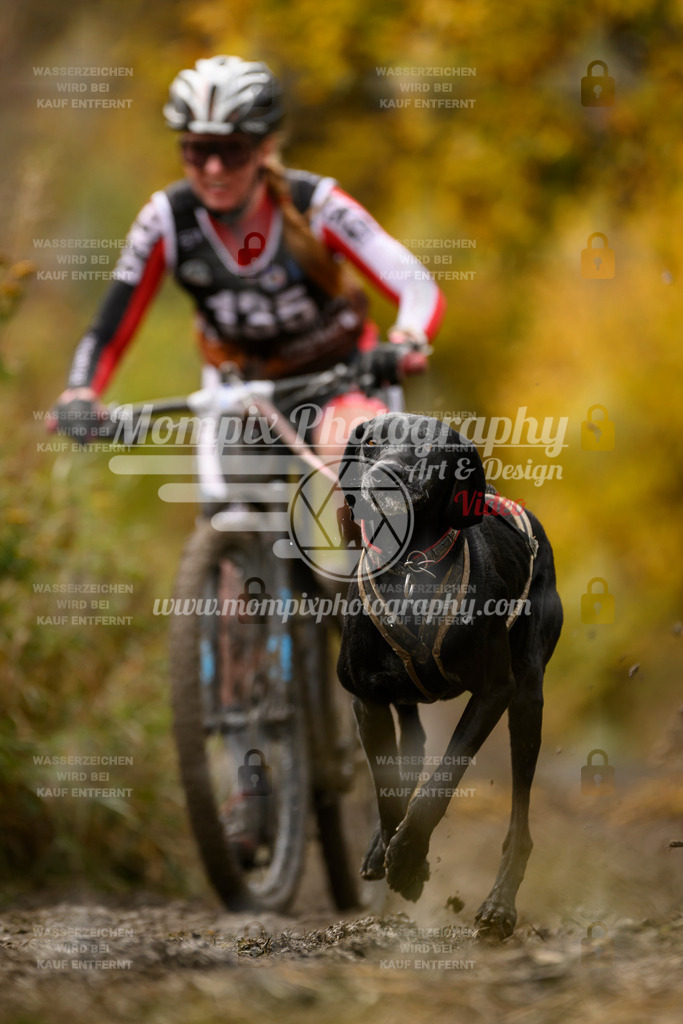 MompixPhotography_ICF_WC_2024_SA_Bike_-143 | PayLife