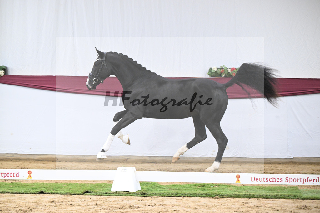 Kat-Nr. 59 Bloomberg x Gribaldi_T. _Stefan Schumacher_47252221 | hf-fotografie - Realisiert mit Pictrs.com